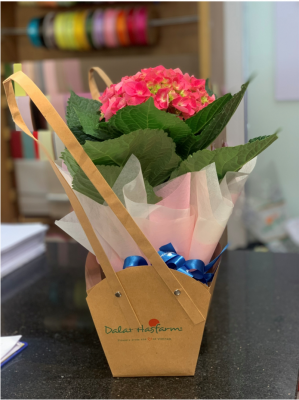 hoa tươi 8/3