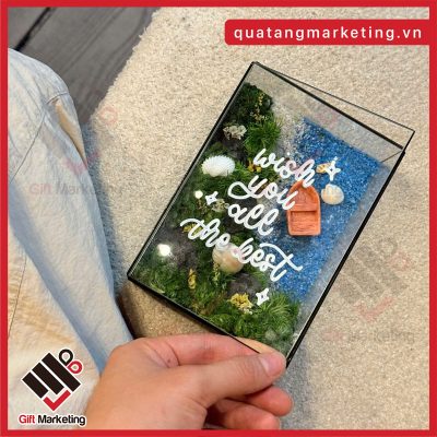 Quà tặng xanh từ rêu và hoa khô - KHÔNG CẦN CHĂM SÓC