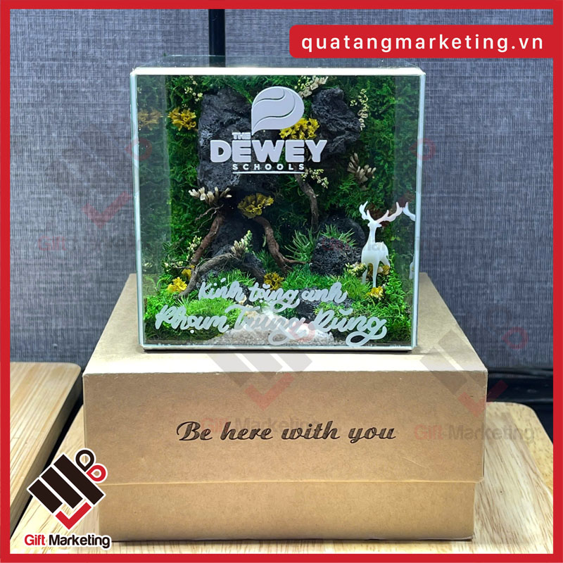 Cao Minh gift – Địa chỉ cung cấp quà tặng xanh bể rêu bảo tồn các loại customize theo yêu cầu doanh nghiệp uy tín