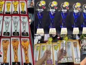 101+ mẫu cúp Pickleball đẹp độc đáo cho giải đấu, CLB và doanh nghiệp tài trợ