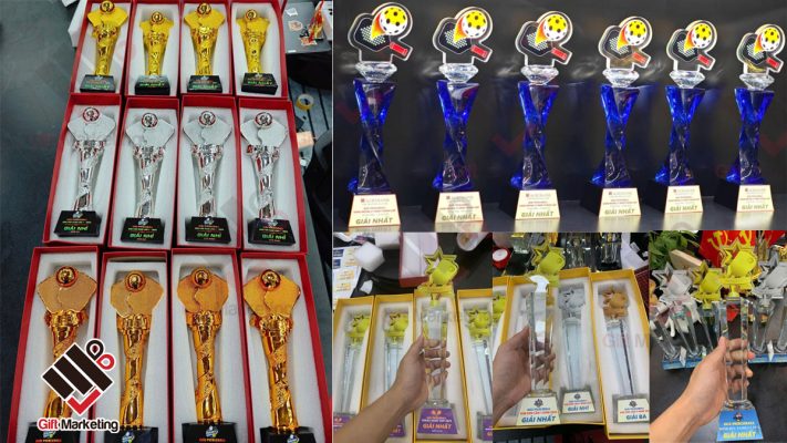101+ mẫu cúp Pickleball đẹp độc đáo cho giải đấu, CLB và doanh nghiệp tài trợ