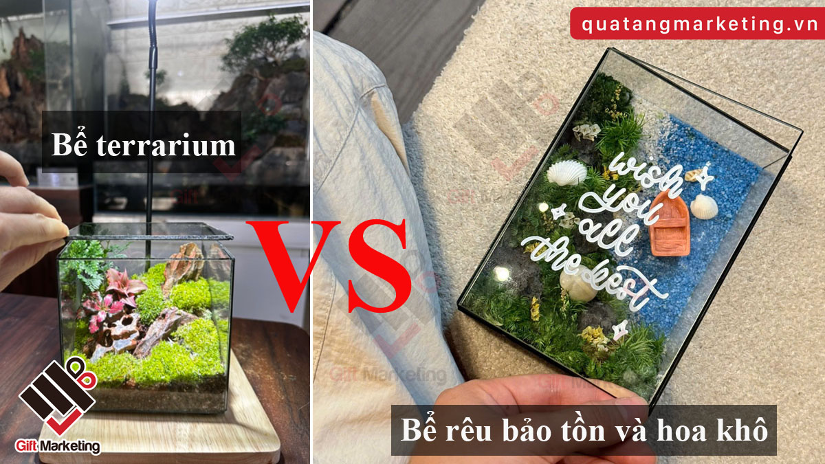 So sánh terrarium và bể rêu bảo tồn – Góc nhìn từ người chơi lâu năm và bài toán quà tặng doanh nghiệp