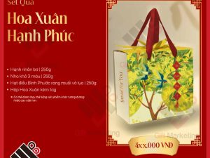 Set quà Tết Hoa xuân hạnh phúc