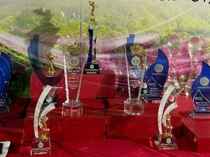 Miễn phí thiết kế cúp vinh danh pha lê Hà Nội theo yêu cầu